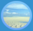 DesertOrbSm.gif (3890 bytes)