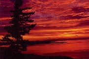 SunsetSmall.jpg (25134 bytes)