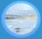 ShoreOrbSm.gif (3248 bytes)
