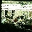 WorkersBehindChainLinkSm.jpg (8082 bytes)