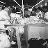 WorkersDominicanRepublicSm.jpg (6713 bytes)