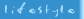 Lifestyle.jpg (2343 bytes)