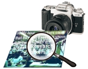 camera.jpg (22567 bytes)