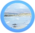 shoreorb.jpg (13003 bytes)