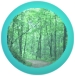 woodsorb.jpg (7453 bytes)