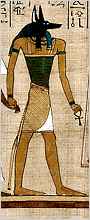 Anubis