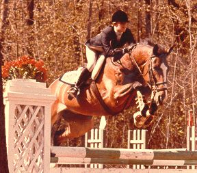 Lisa Jumping Brown