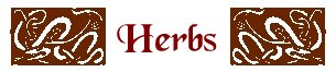 Herbs & Alchemy - Herbs