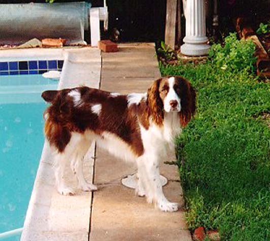 Bailey Owen