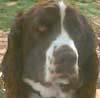 Buster