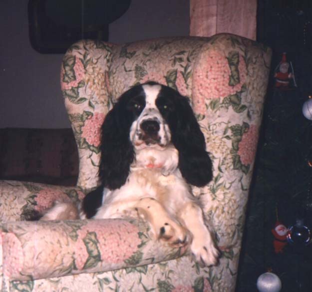 Tobby