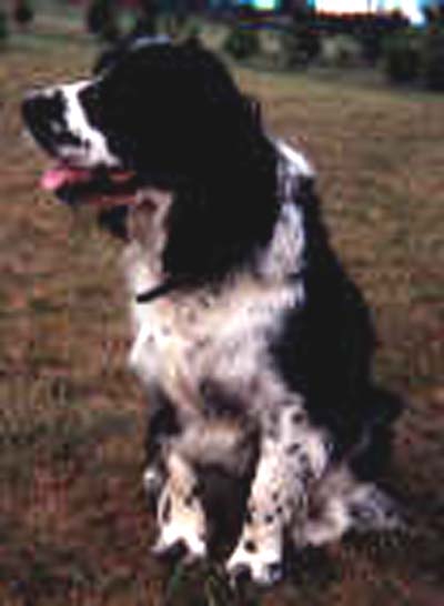 Ben