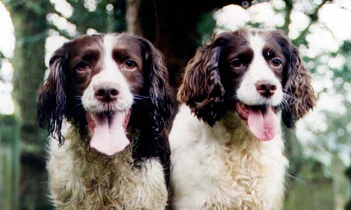 Hannah and Rosie