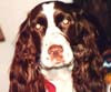 Maggie