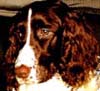 Maggie