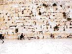 The Wall