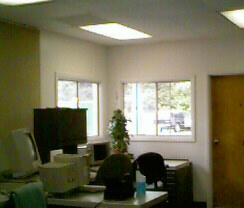 Our Windows!