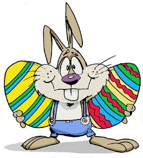 rabbit