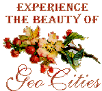 gc_icon