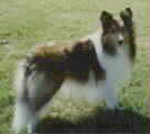 Casey standing