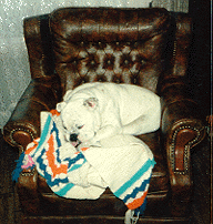 Maggie in her chair