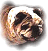 Roscoe
