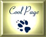 Cool Page Gold Award
