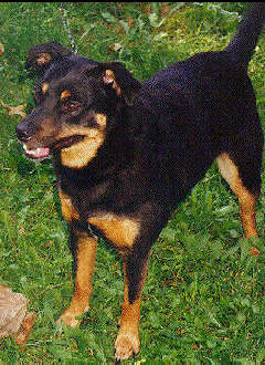 Photo of Guy