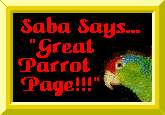 The Saba Says... Award