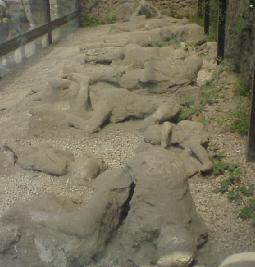 bodies