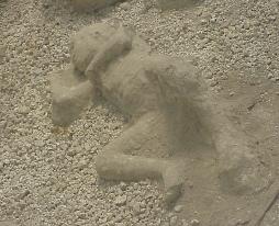 child's body