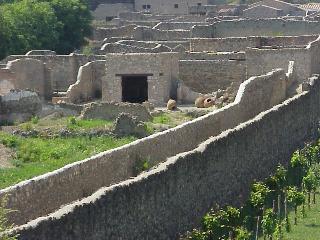garden wall
