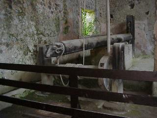 grape press
