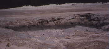 bubbling mud