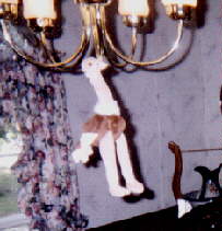 swinging ostrich