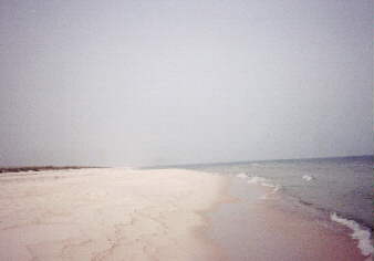 ocean