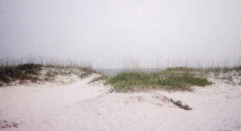 dunes