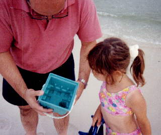 looking at jellyfish