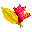 leaf
