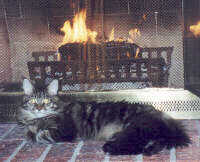 evie by the fire