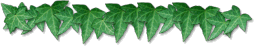Ivy Rule
