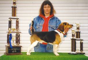 Best in Show - 1997 Grand American Cottontail Classic