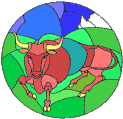 Taurus