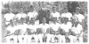 Click for large picture of tennis team