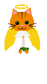 Kitty Angel, Ilissa