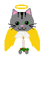 Kitty Angel, Adria