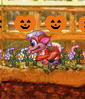 Jack-O-Lantern
