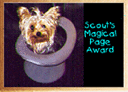 Scout's Magical Page
Award