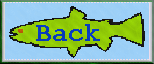an-fish-bk.gif