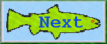 an-fish-nt.gif